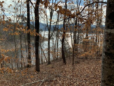 Lake/Mountain Views