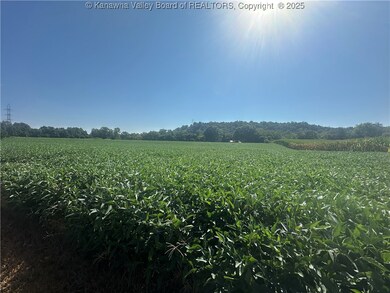 0 Corner Rt 62 N and Lock 25 Rd unit 279629, Point Pleasant, WV 25550 - photo 3