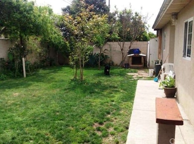 Spacious backyard with more fruit trees.