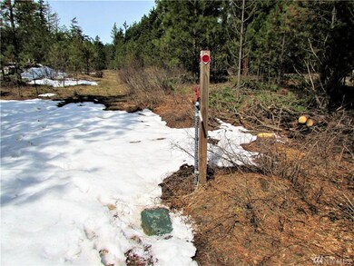 10370 Washington 903, Ronald, WA 98940 - photo 5