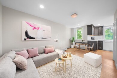 74 University Rd unit 2, Brookline, MA 02445 - photo 4