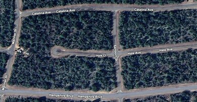 0 Hale Ct, Chipley, FL 32428 - photo 5