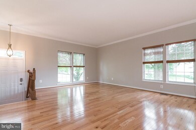 20329 Briarcliff Terrace, Sterling, VA 20165 - photo 3