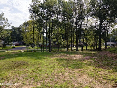 View from the back of lot 2!