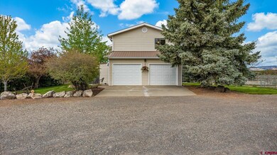 26451 Cedar Mesa Rd, Cedaredge, CO 81413 - photo 5