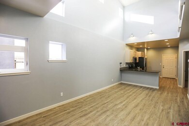 0 Mercado St unit 752623, Durango, CO 81301 - photo 5