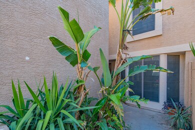 Front Courtyard