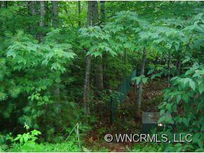 0 Benjamin Way unit 41, Hendersonville, NC 28792 - photo 2