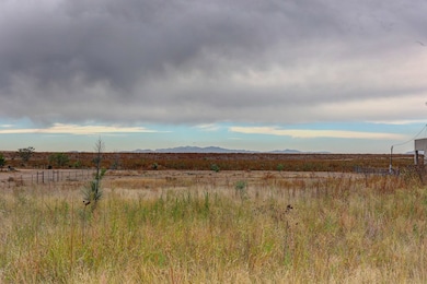 1006 N Summer St, Marfa, TX 79843 - photo 6