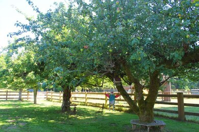 15531 119th Ave SW, Vashon, WA 98070 - photo 5