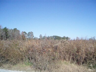 0 Barbeque Rd NW, Shallotte, NC 28469 - photo 4