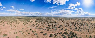 DJI_0369-2