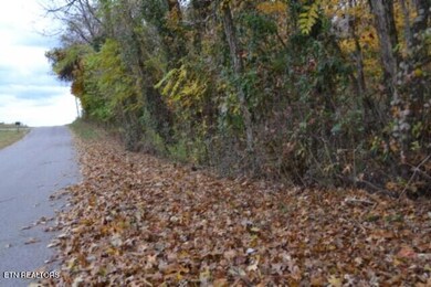 10.70ac Red Oak Ridge Rd, Celina, TN 38551 - photo 3