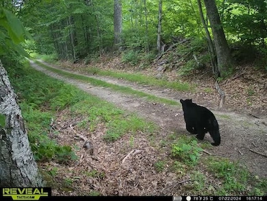 000 Severance Rd, Hillsboro, NH 03244 - photo 6