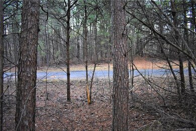 109 Cottontail Ln unit 6, Statesville, NC 28677 - photo 5