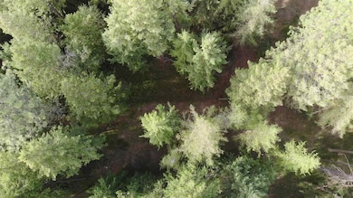 00 W Akers Ln, Colbert, WA 99005 - photo 5