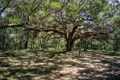 5005 SW 63rd Blvd, Gainesville, FL 32608 - photo 6