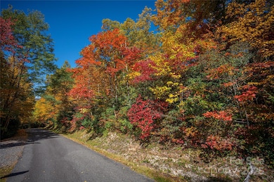 205 Chickadee Ln unit 205, Maggie Valley, NC 28751 - photo 3