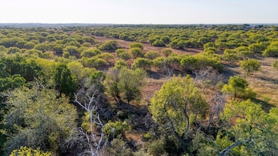 Cr 331 E, Jourdanton, TX 78026 - photo 6