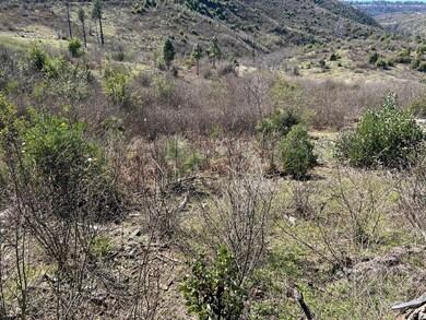 1234 Hog Ranch Rd, Concow, CA 95965 - photo 6