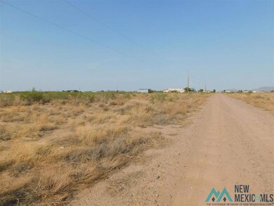 0 Earl Scott Trail SW unit 20213932, Deming, NM 88030 - photo 6