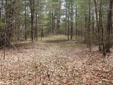 730 Clayton Rd, Sheffield, MA 01222 - photo 7