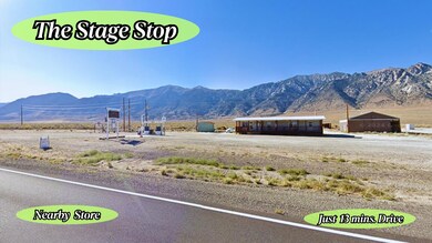 7 Ruthe Ct, Austin, NV 89310 - photo 5