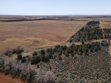0 Tbdwp Highway 141, Dove Creek, CO 81324 - photo 6