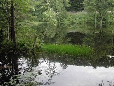 Waterfront/Dock/Pier. Ossipee River...