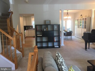 20372 Briarcliff Terrace, Sterling, VA 20165 - photo 7