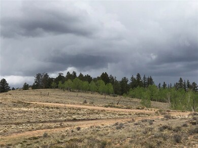 1332 Frees Loop, Hartsel, CO 80449 - photo 7