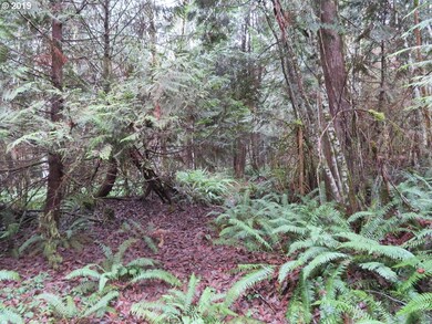 0 Cousins Rd unit 19109688, Chehalis, WA 98532 - photo 5