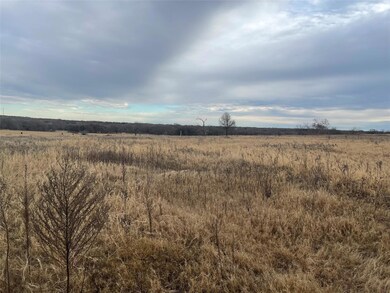 207 Robinson Rd, Weatherford, TX 76088 - photo 4