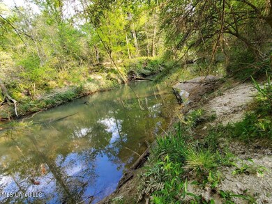 No Enterprise Rd, McComb, MS 39648 - photo 4