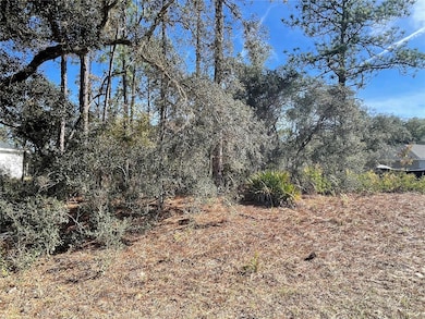 11475 N Kenney Loop, Dunnellon, FL 34433 - photo 3