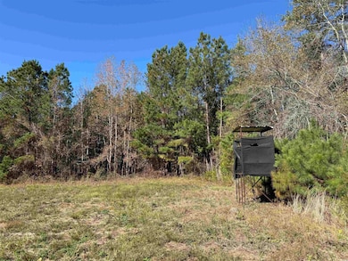 819 Quail Rd, Hemingway, SC 29554 - photo 3