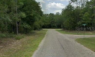 60 E Falcon Ln, Citrus Springs, FL 34434 - photo 2