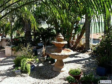 Back Yard Fountain