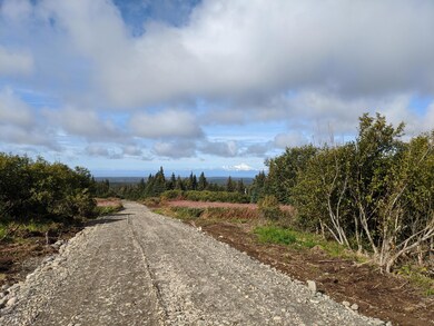 000 Clyde Thomas Ave, Anchor Point, AK 99556 - photo 2