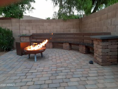 Back Yard (2)