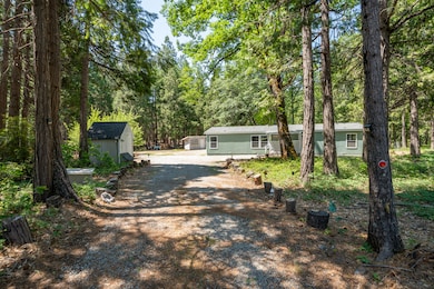 32667 White Fir Dr-3