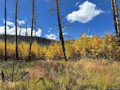 0 Korlkoff Ln unit REC4803573, Fort  Garland, CO 81133 - photo 6