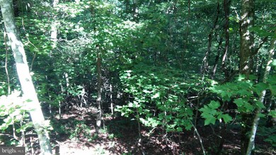 0 Anderson Rd unit VASH120960, Basye, VA 22810 - photo 2