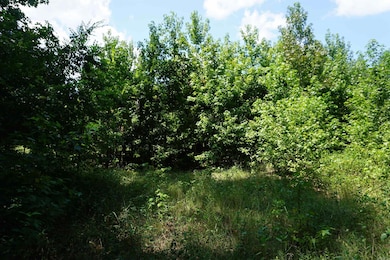 000 Stokes Rd, Bald Knob, AR 72010 - photo 6