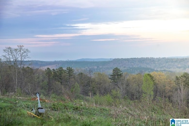 4947 U S 231 unit 5, Vincent, AL 35178 - photo 2