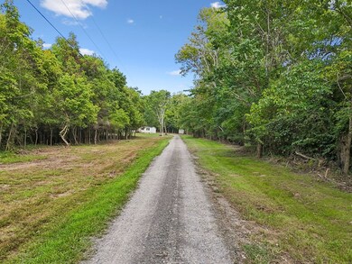 21 Vantrease Rd, Brush Creek, TN 38547 - photo 5
