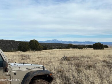 11975 W Dozer Ave, Ash Fork, AZ 86320 - photo 2