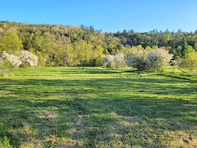 1076 New Hampshire 123a, Acworth, NH 03607 - photo 4