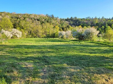 1076 Nh Route 123a, South Acworth, NH 03607 - photo 4