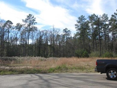 Land/Lot.